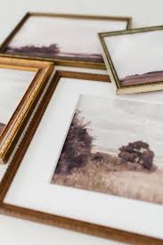 frame art using vine picture frames
