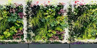 Living Walls And Vertical Gardens