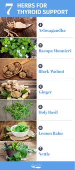 herbs for thyroid support marcelle