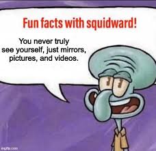 fun facts with squidward flip