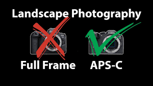 aps c cameras for landscape photography