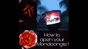 How To Open Your Monsta X Official Lightstick Mondoongie