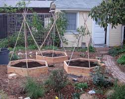 How To Make A Hexagonal Raised Bed