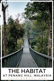 Entrance fees to the habitat penang hill start from rm55 each for adults and rm35 for children, senior citizens, and students. Visiting The Habitat At Penang Hill Is It Worth It Local Nomads