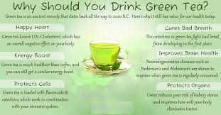 green tea for seniors is their best