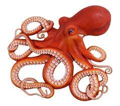 Octopus Wall Decor Sculptures In Australia