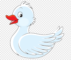Black duck design resources · high quality aesthetic backgrounds and wallpapers, vector illustrations, photos, pngs, mockups, templates and art. Cygnini Duck White Swan White Animals Black White Png Pngwing
