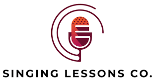top 5 best singing lessons 2020