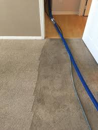 carpet cleaning services apopka