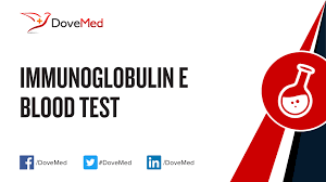 Immunoglobulin E Ige Blood Test
