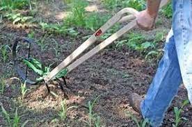 hoss wheel hoe the cultivator with