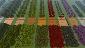 Forestry Tree Breeding Guide Map Maps Mapping And