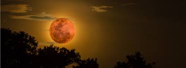 Image result for images Luke 21:25 Meaning of And There Shall be Signs in the Sun, Moon and Stars