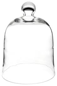 glass bell jar cloche display dome