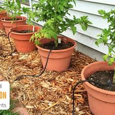 Drip Irrigation System For Potted Plants