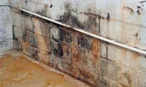 water seepage and basement leaks