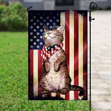 Cat American Flag Flagwix House