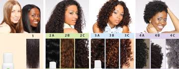 2 Hair Chart 2 Hair Texture Types Chart Www