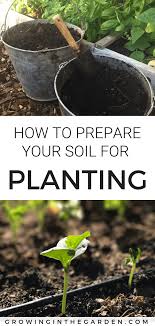 Get Your Soil Ready For Planting