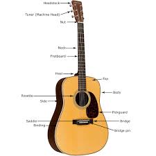 Choosing An Acoustic Guitar The Hub