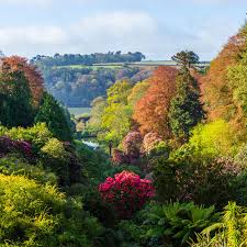 gardens in cornwall to visit in spring