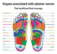 Foot Massage Download Free Vectors Clipart Graphics