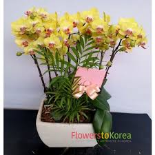 flowers bouquet to seoul korea