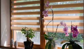 window blinds designs types and s