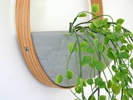 Wood And Concrete Indoor Wall Planter