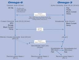 Workout Anytime Fitness Blog Omega 3 Fatty Acids And Health
