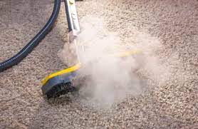 clean your carpet with a steam mop