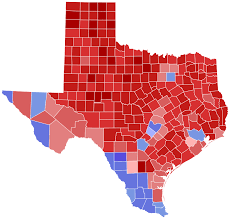 2018 Texas Gubernatorial Election