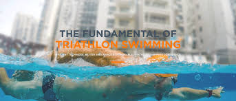 fundamentals of triathlon swimming