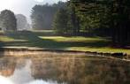 The Waynesville Inn Golf Resort & Spa - Carolina/Dogwood in ...