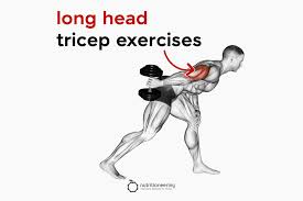 13 long head tricep exercises for