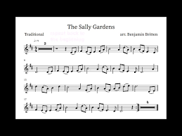 the sally gardens violin recorder