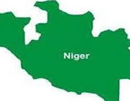 Niger spends N1.2b on virus activities - The Nation Nigeria