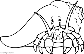 Funny hermit crab lover design for women, girls, teens & Cute Hermit Crab Coloring Page Coloringall