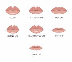 which type of lips are beautiful