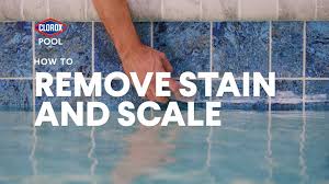 A good place to start is by skimming leaves off the water surface as soon as you notice them. Clorox Pool Spa 32 Oz Pool Scale Metal And Stain Control In The Pool Scale Metal Stain Control Department At Lowes Com
