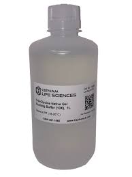 tris glycine native gel running buffer