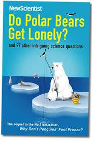 do polar bears get lonely new scientist