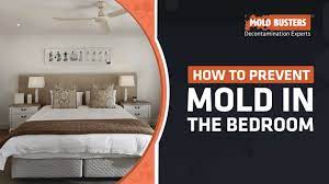 how to prevent mold in the bedroom