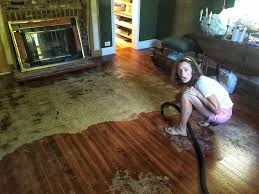 disintegrated sisal rug off wood floors