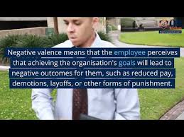 organisational valence definition