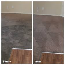dial carpet cleaning