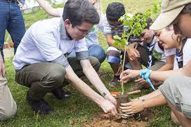 Jovem lidera projeto para plantar 1 trilhão de árvores em 30 anos -  Bernardo Gardin