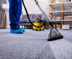 carpet cleaning cameron park carters