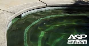 how do i get rid of black algae in my pool