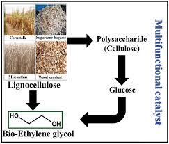 Recent advances and sustainable development of biofuels production from lignocellulosic biomass